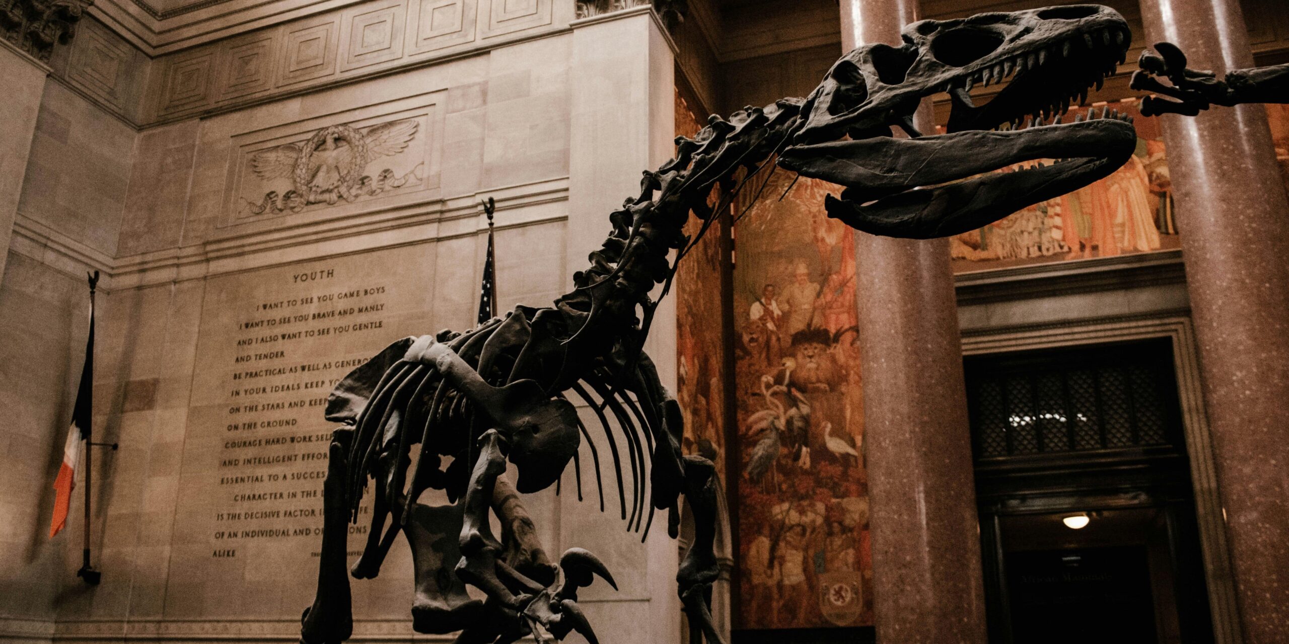 Visit The American Museum of Natural History’s New Expansion